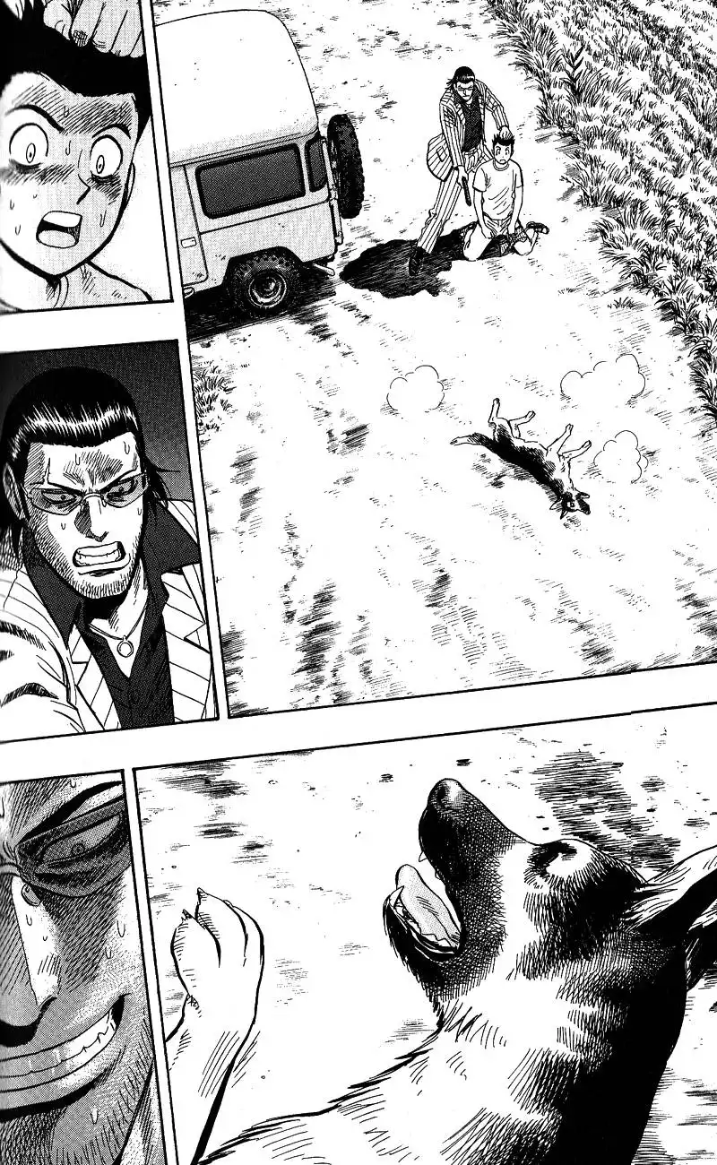 Animal Sense Chapter 13 22